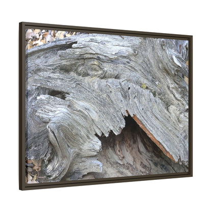 Driftwood Dreams - Unique Stretched Canvas Wall Art - Art By Earth