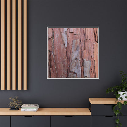 Peeling Bark - Unique Stretched Canvas Wall Art - Art By Earth