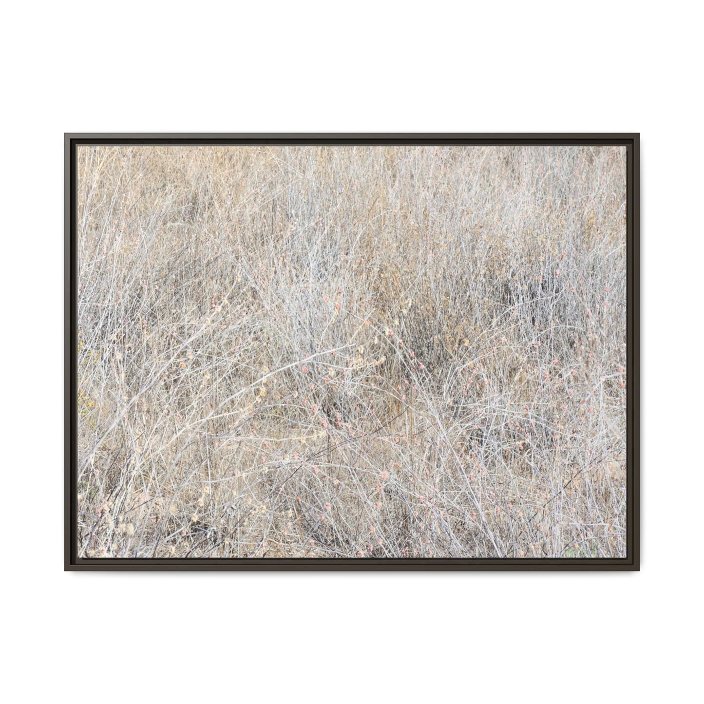 Whispers of Dry Grass - Unique Stretched Canvas Wall Art - Art By Earth