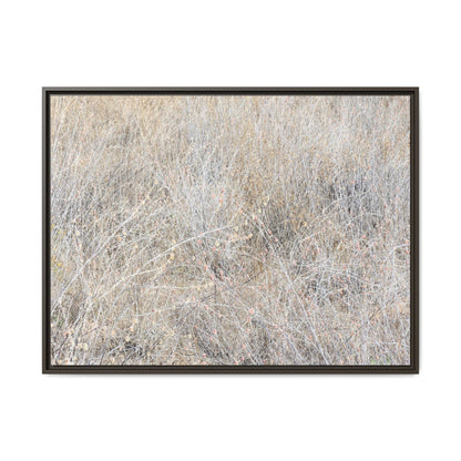 Whispers of Dry Grass - Unique Stretched Canvas Wall Art - Art By Earth