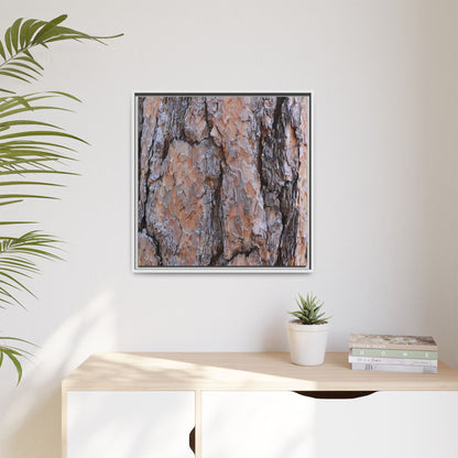 Tree Skin Symphony - Unique Stretched Canvas Wall Art - Art By Earth