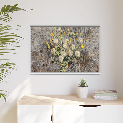 Whispers of the Dry Grass - Unique Stretched Canvas Wall Art - Art By Earth