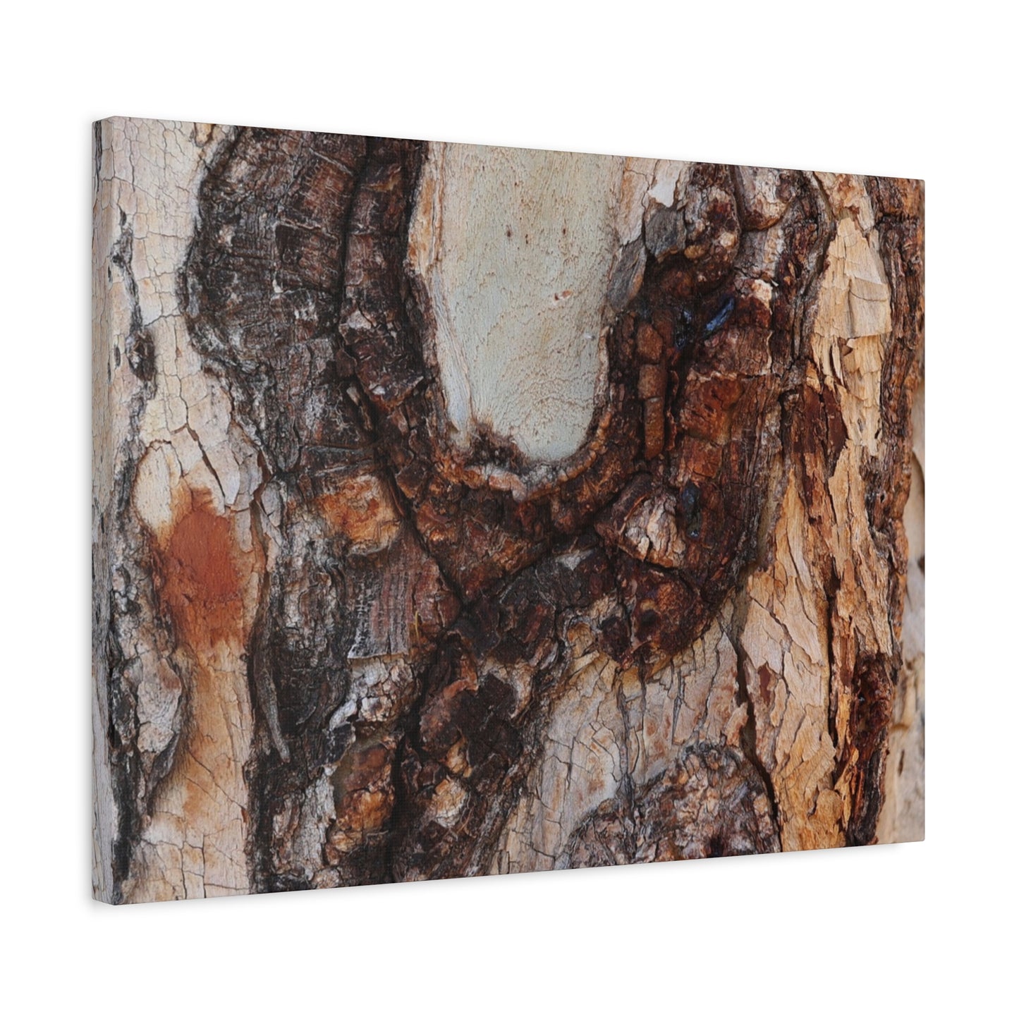Arboreal Echoes - Unique Frameless Canvas Wall Art - Art By Earth