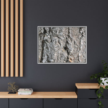 Crusty Exterior - Unique Stretched Canvas Wall Art - Art By Earth