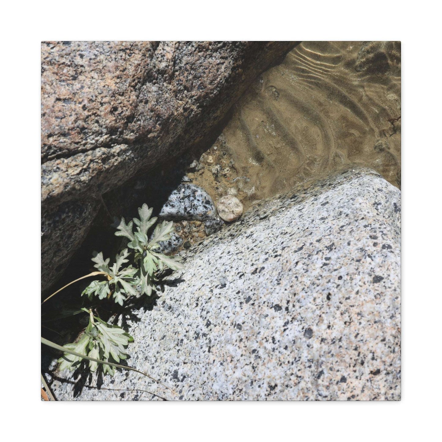 Between Stone and Sand - Unique Frameless Canvas Wall Art - Art By Earth