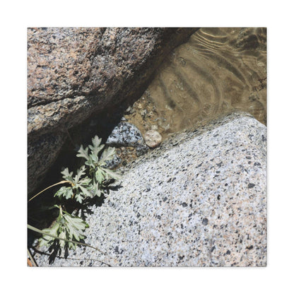 Between Stone and Sand - Unique Frameless Canvas Wall Art - Art By Earth
