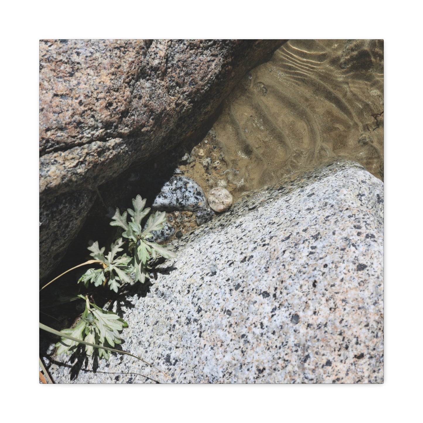 Between Stone and Sand - Unique Frameless Canvas Wall Art - Art By Earth