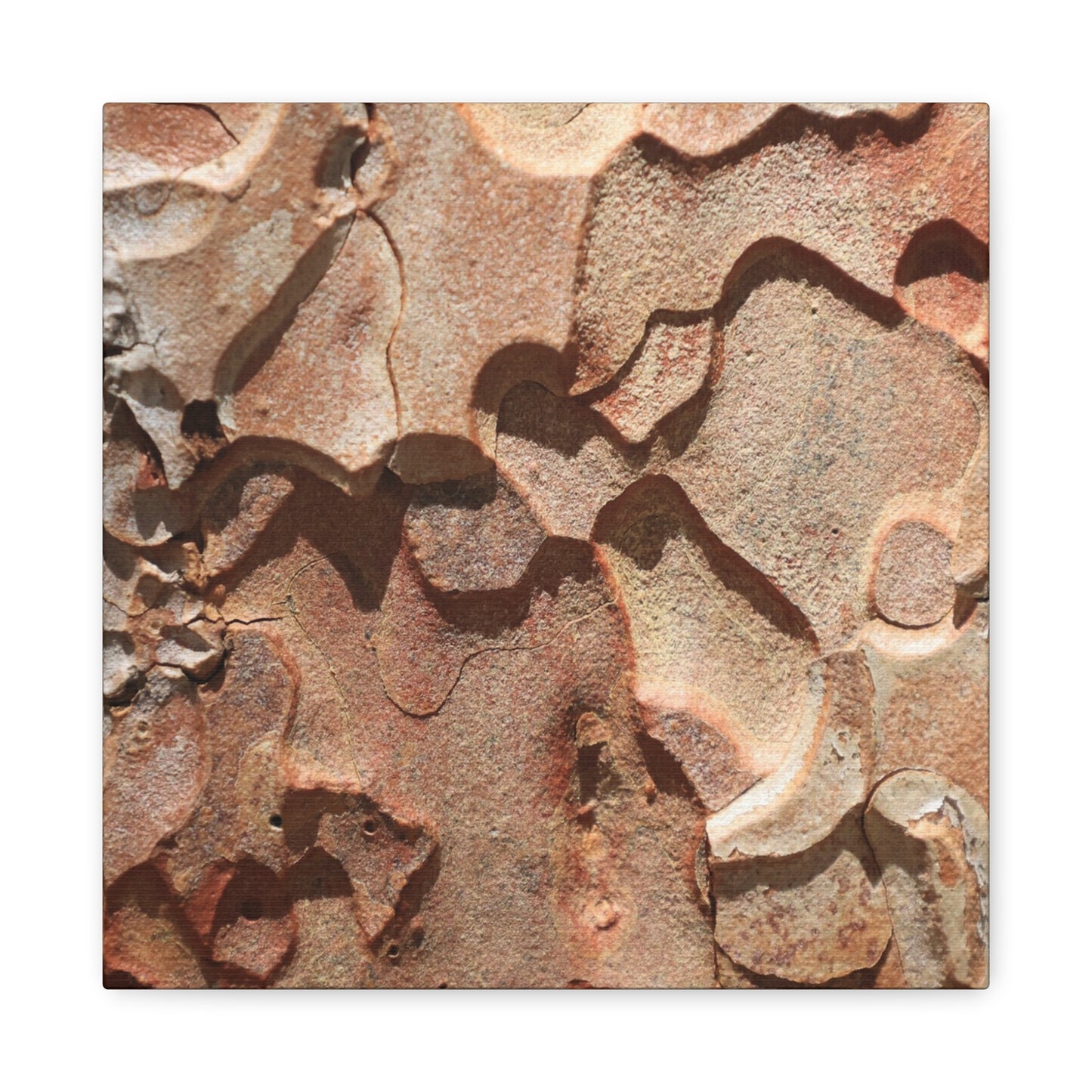 Terracotta Echoes - Unique Frameless Canvas Wall Art - Art By Earth