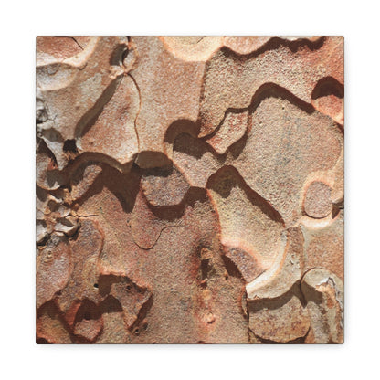 Terracotta Echoes - Unique Frameless Canvas Wall Art - Art By Earth