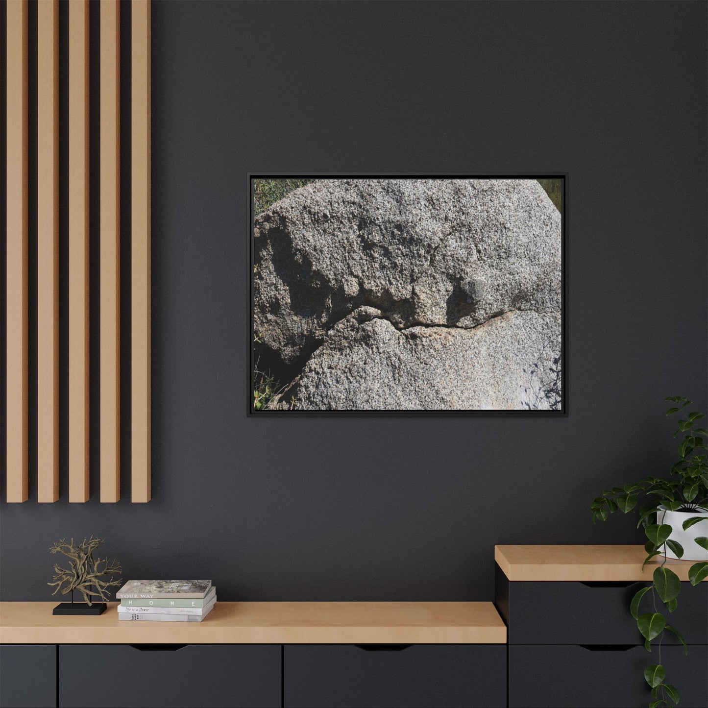 Stone Skull in Desert - Unique Stretched Canvas Wall Art