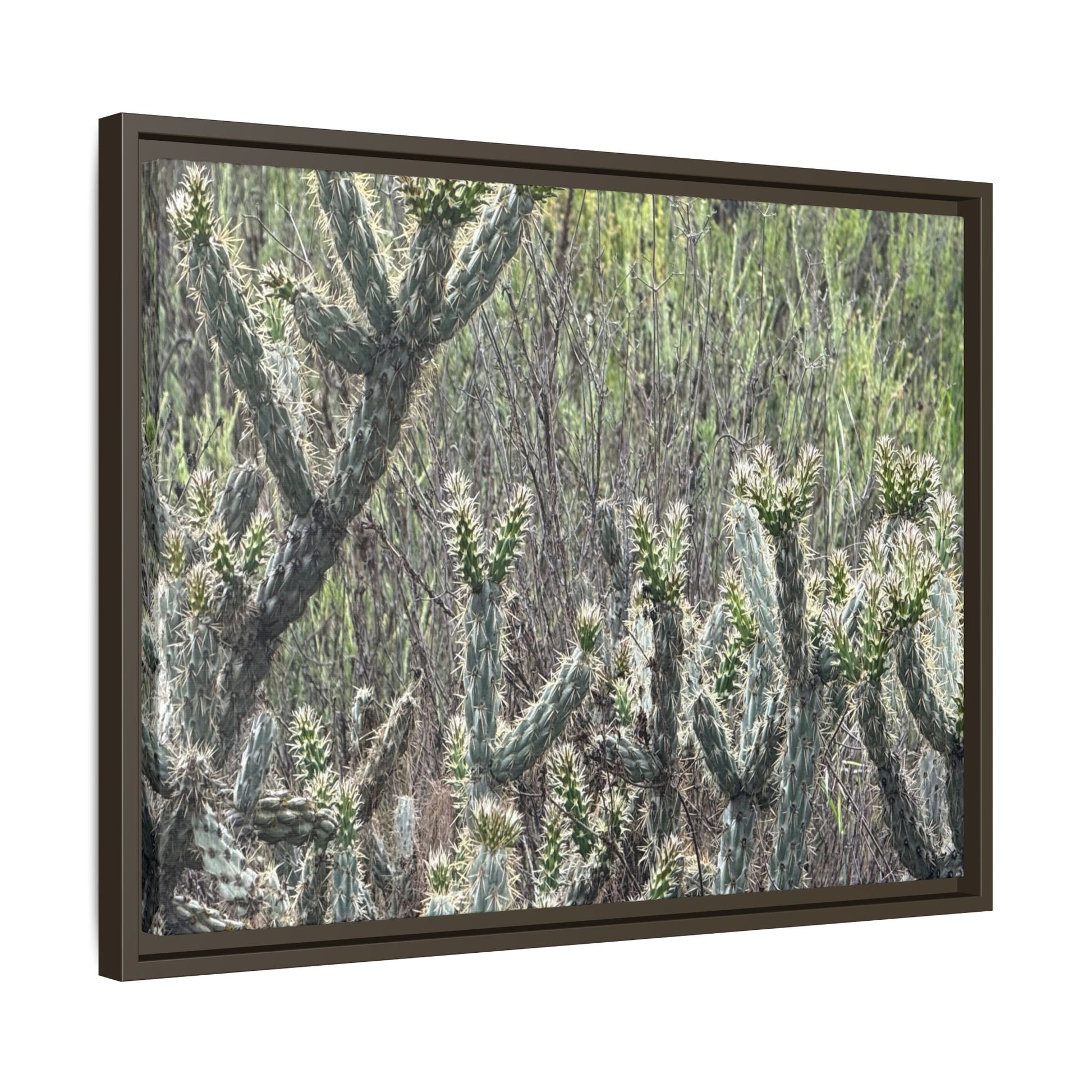Prickly Paradise - Unique Stretched Canvas Wall Art - Art By Earth