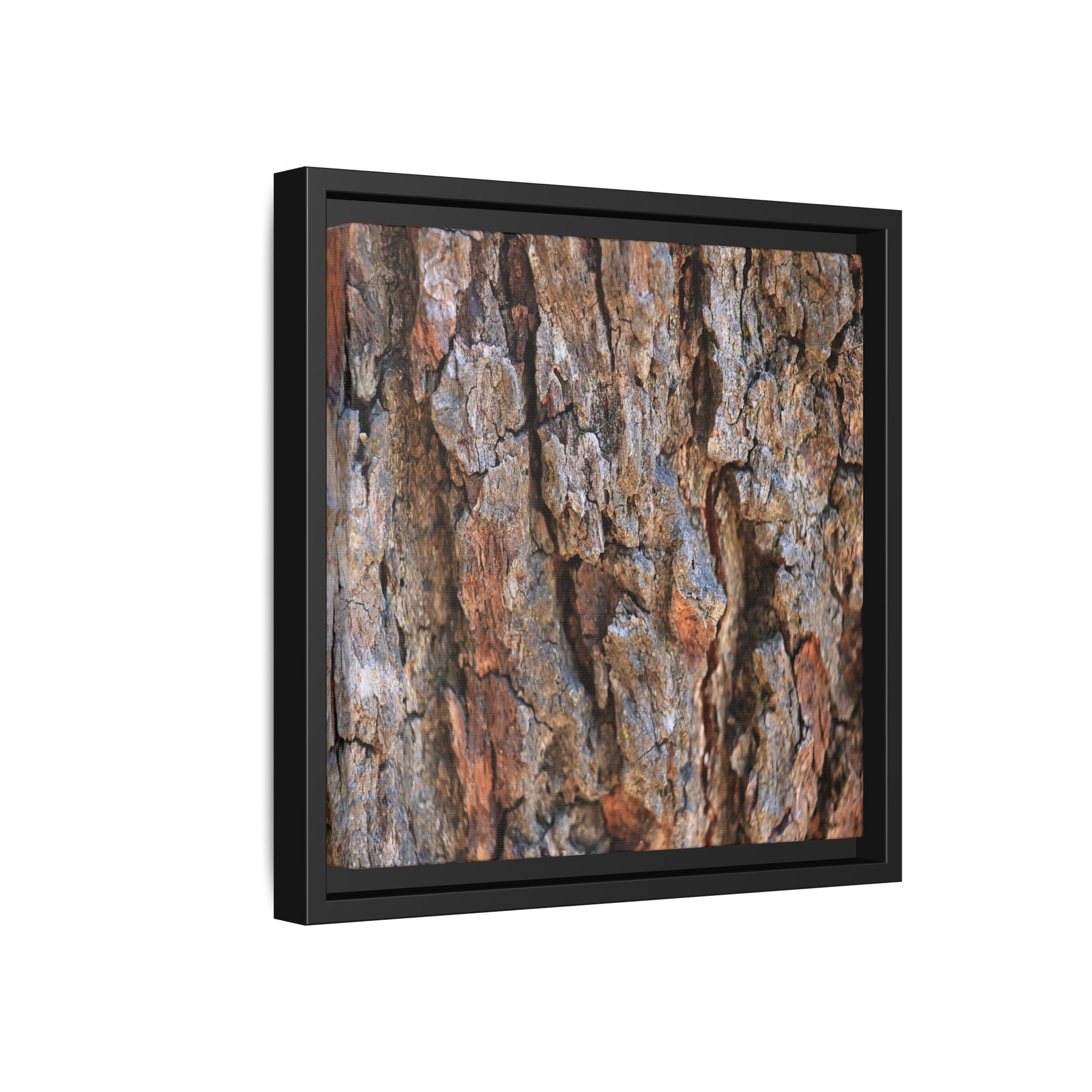 Craggy Textures - Unique Stretched Canvas Wall Art - Art By Earth
