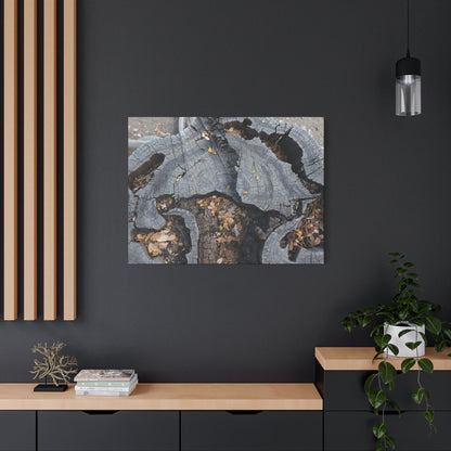 Weathered Woodland Whispers - Unique Frameless Canvas Wall Art - Art By Earth