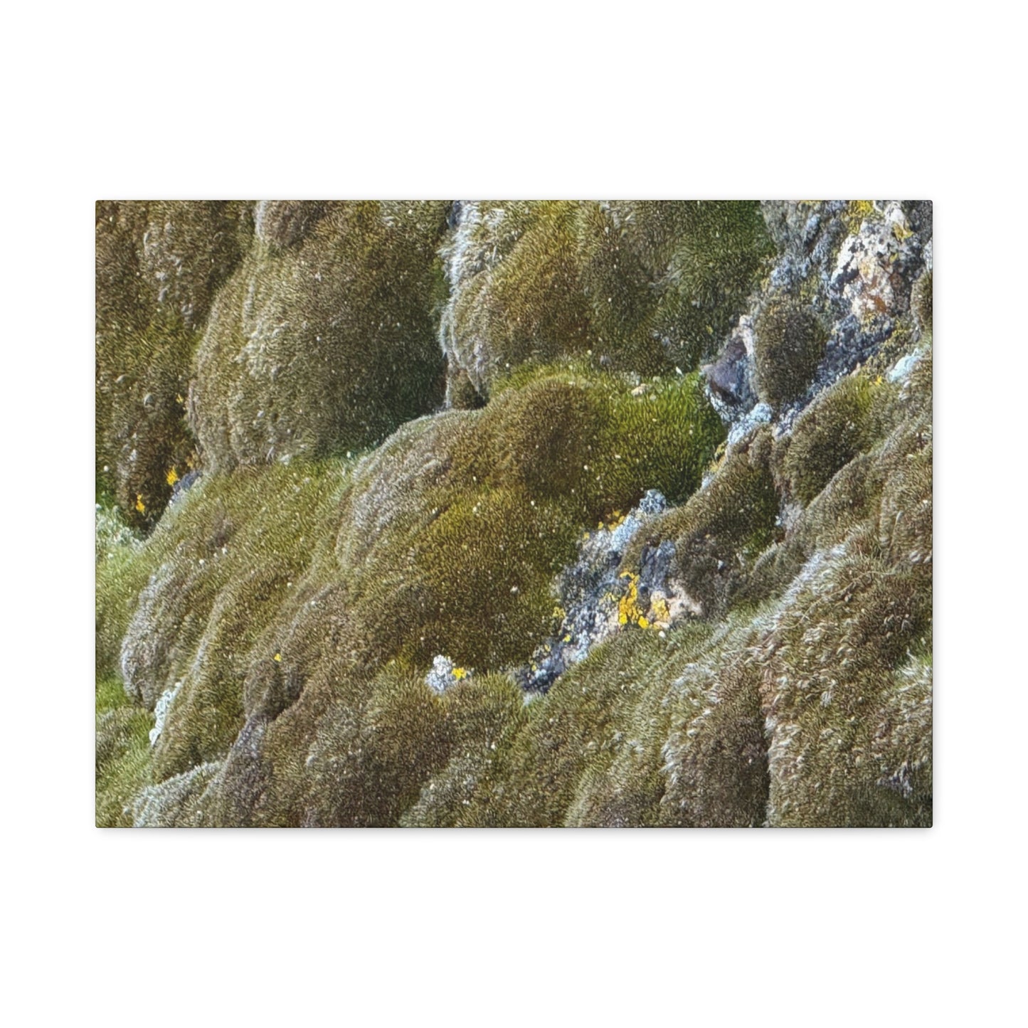 Verdant Stone Symphony - Unique Frameless Canvas Wall Art