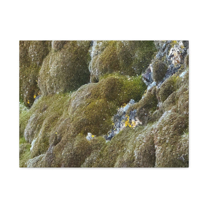 Verdant Stone Symphony - Unique Frameless Canvas Wall Art