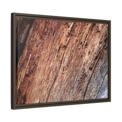 Time's Mark - Unique Stretched Canvas Wall Art - Art By Earth