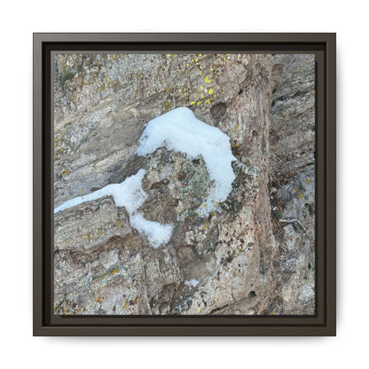 Lichen's Embrace - Unique Stretched Canvas Wall Art