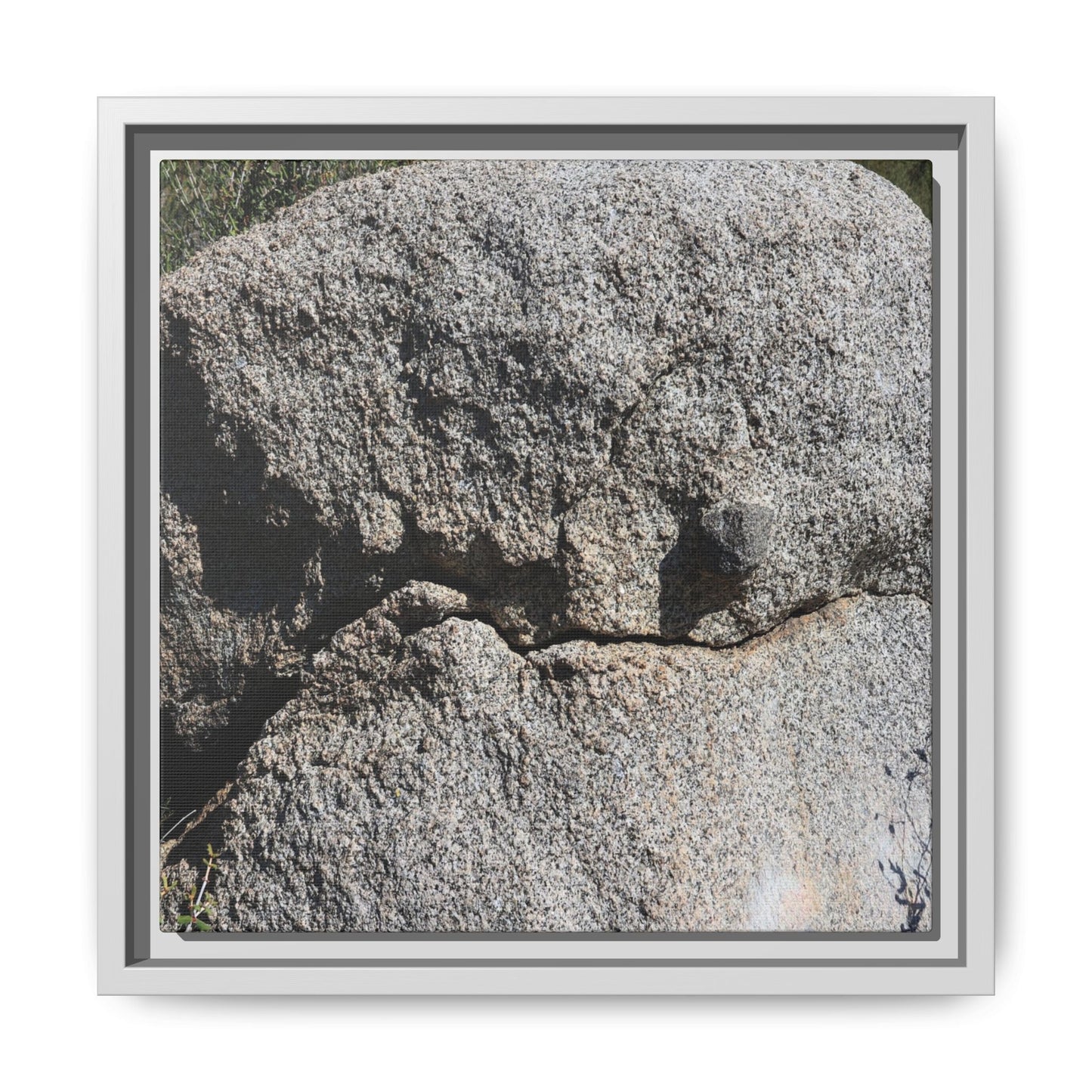 Stone Skull in Desert - Unique Stretched Canvas Wall Art