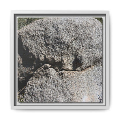 Stone Skull in Desert - Unique Stretched Canvas Wall Art