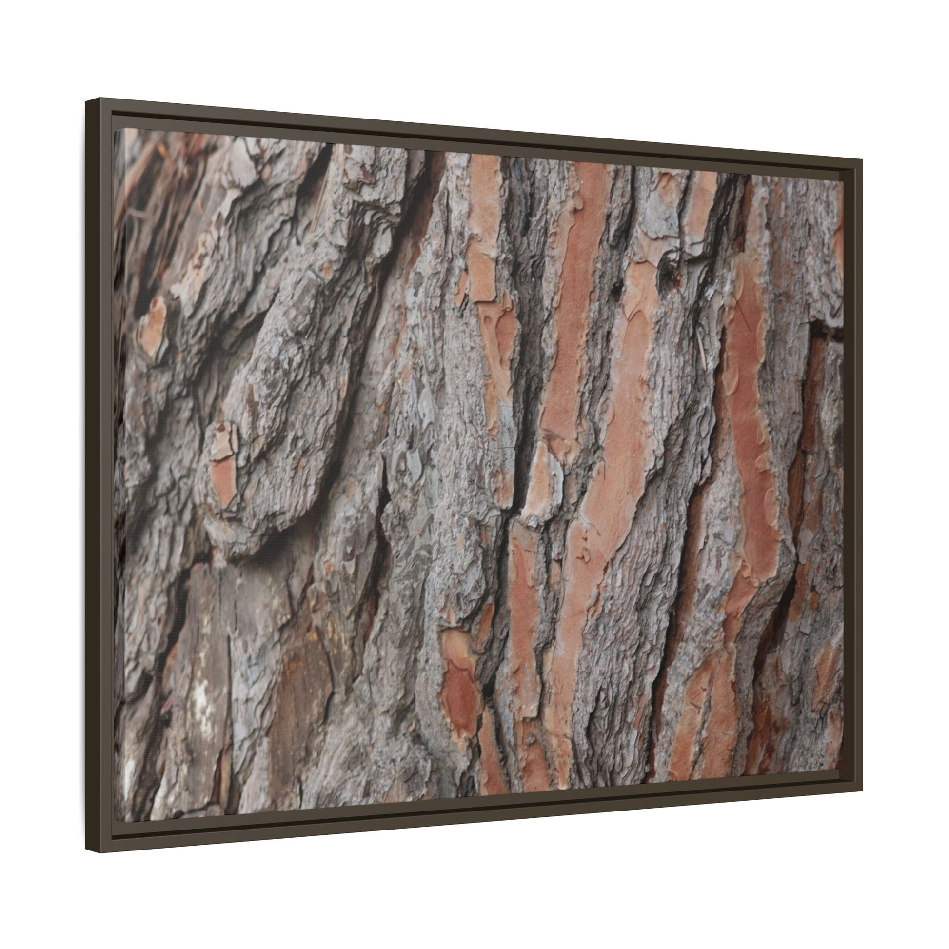 Woodland Layers - Unique Stretched Canvas Wall Art - Art By Earth