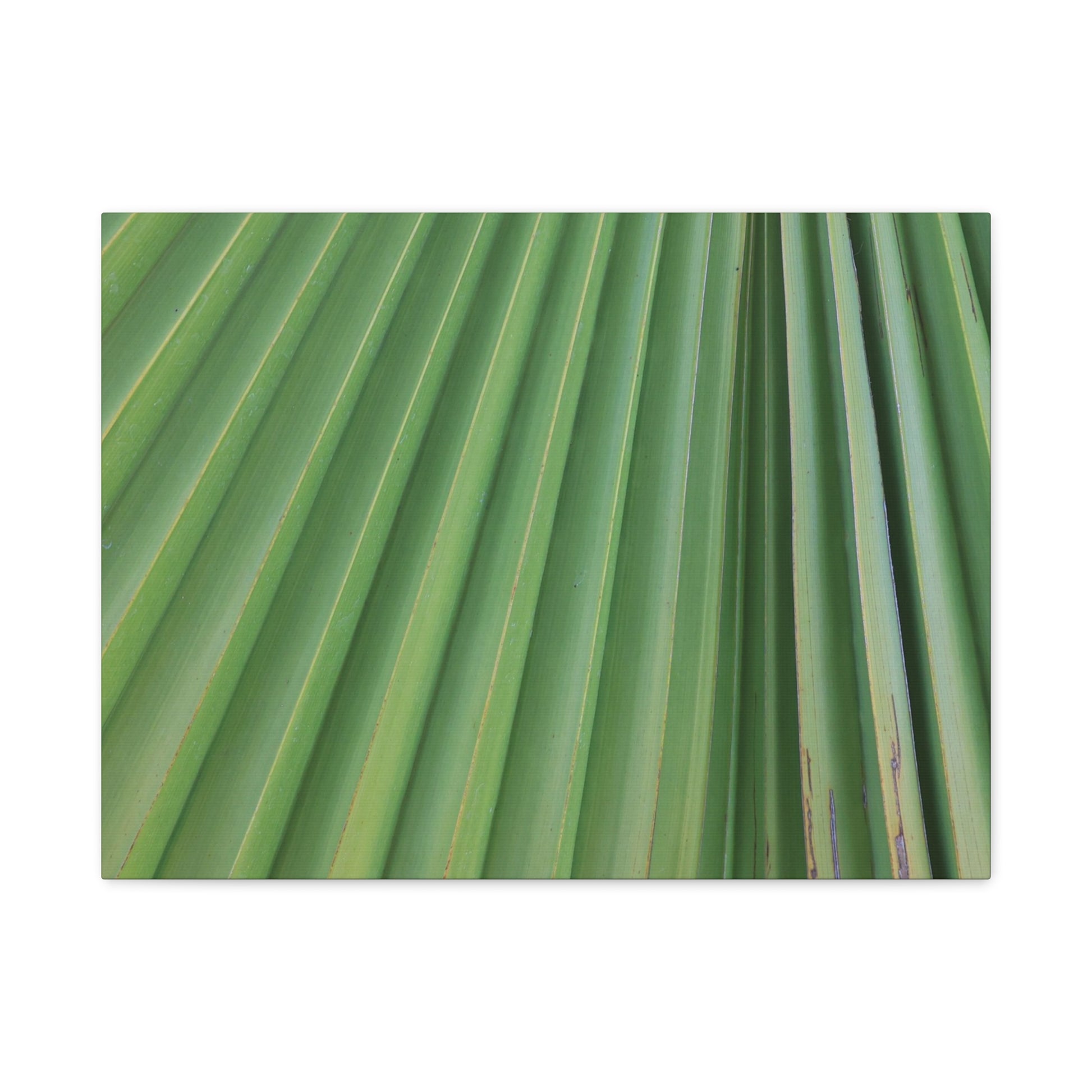 Palm Pulse - Unique Frameless Canvas Wall Art - Art By Earth