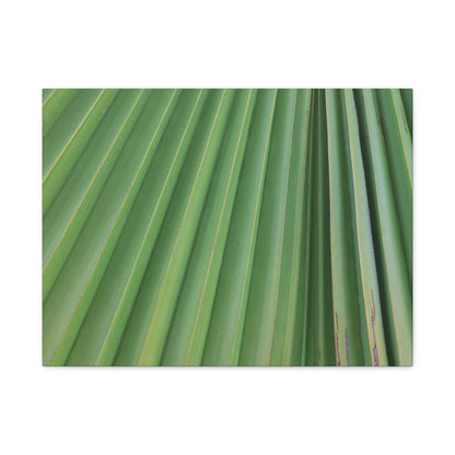 Palm Pulse - Unique Frameless Canvas Wall Art - Art By Earth