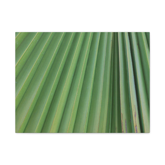 Palm Pulse - Unique Frameless Canvas Wall Art - Art By Earth