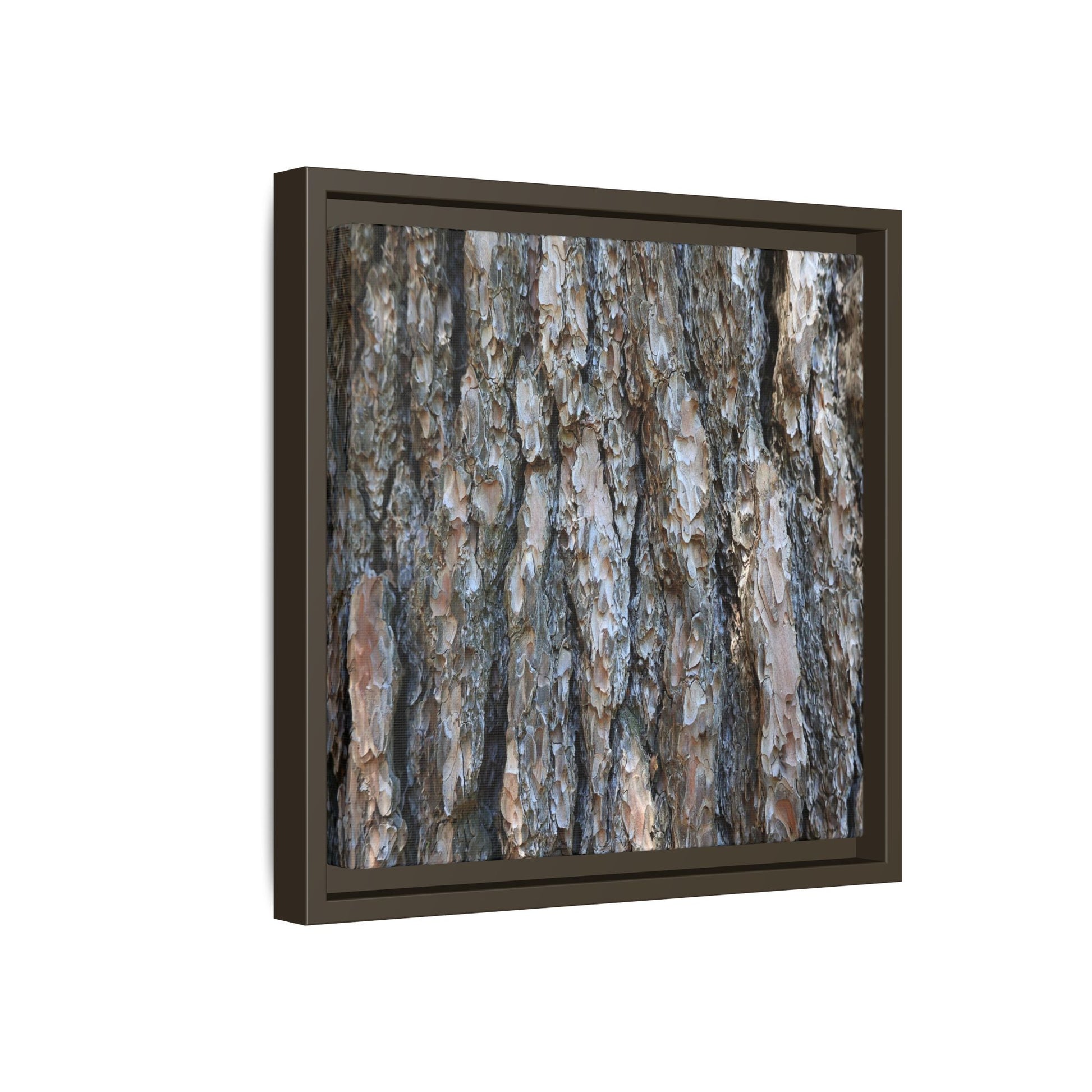 Bark Whispers - Unique Stretched Canvas Wall Art - Art By Earth