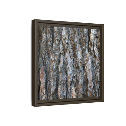 Bark Whispers - Unique Stretched Canvas Wall Art - Art By Earth