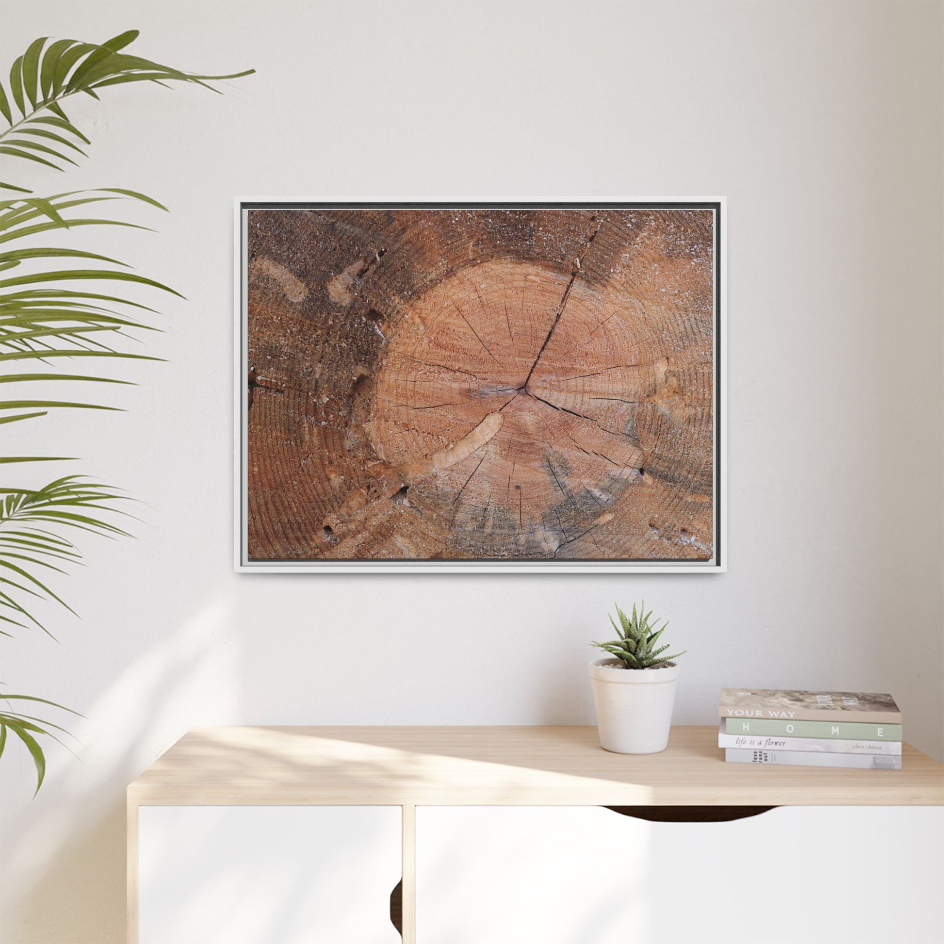 Concentric Memories - Unique Stretched Canvas Wall Art - Art By Earth