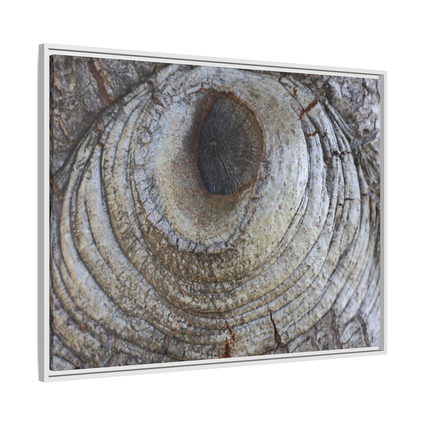 Echoes of Time - Unique Stretched Canvas Wall Art - Art By Earth