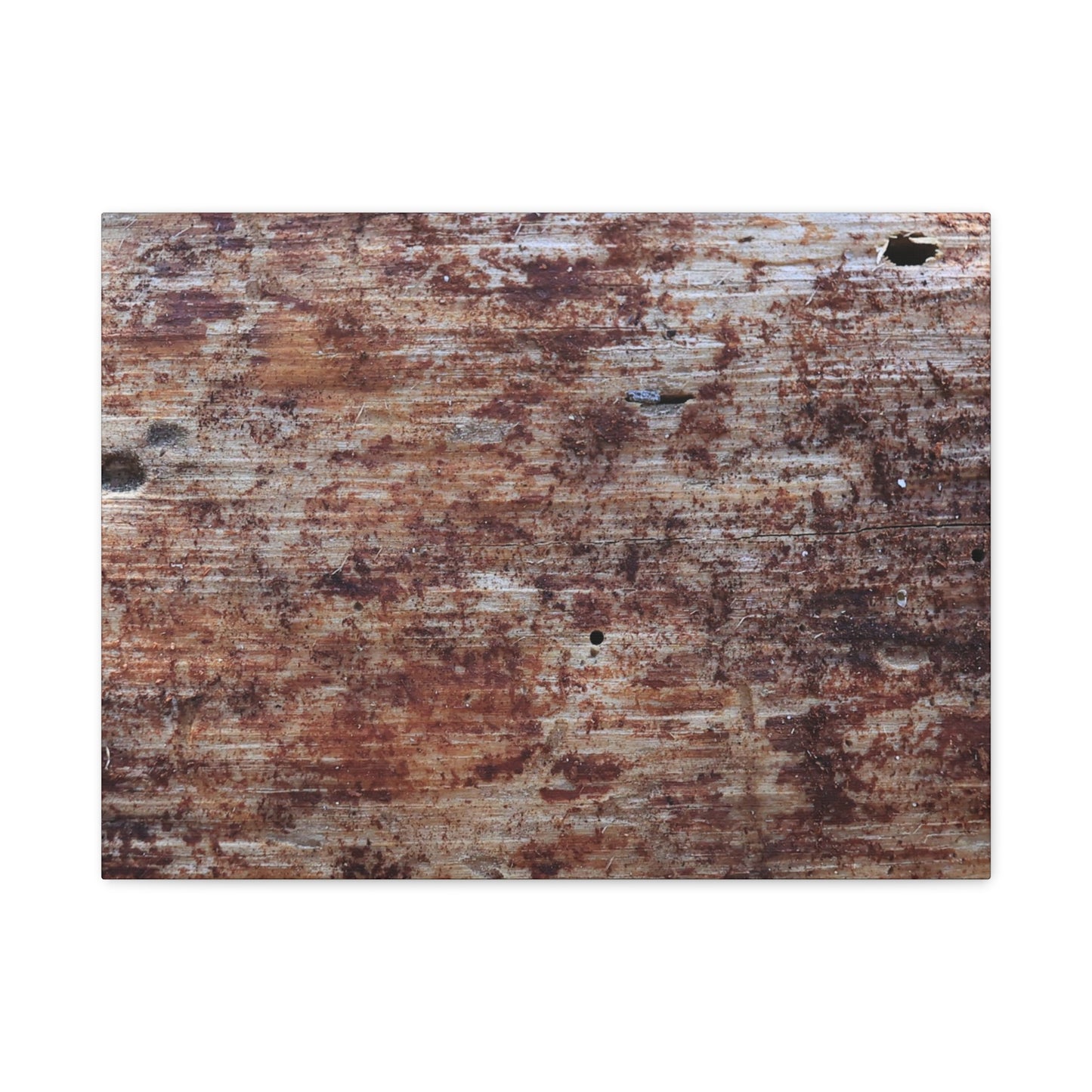 Decaying Memoir - Unique Frameless Canvas Wall Art - Art By Earth