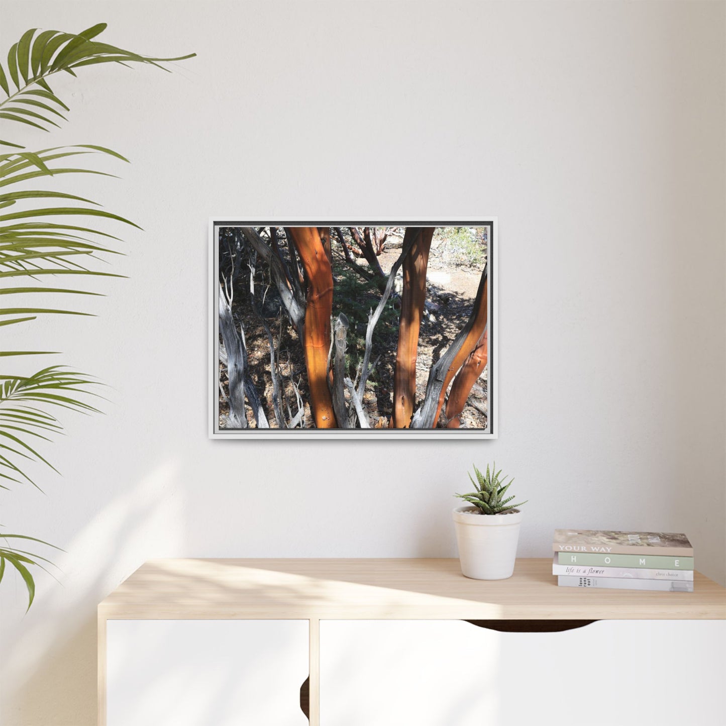Eucalyptus Grove - Unique Stretched Canvas Wall Art
