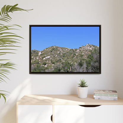 Sparse Vegetation - Unique Stretched Canvas Wall Art