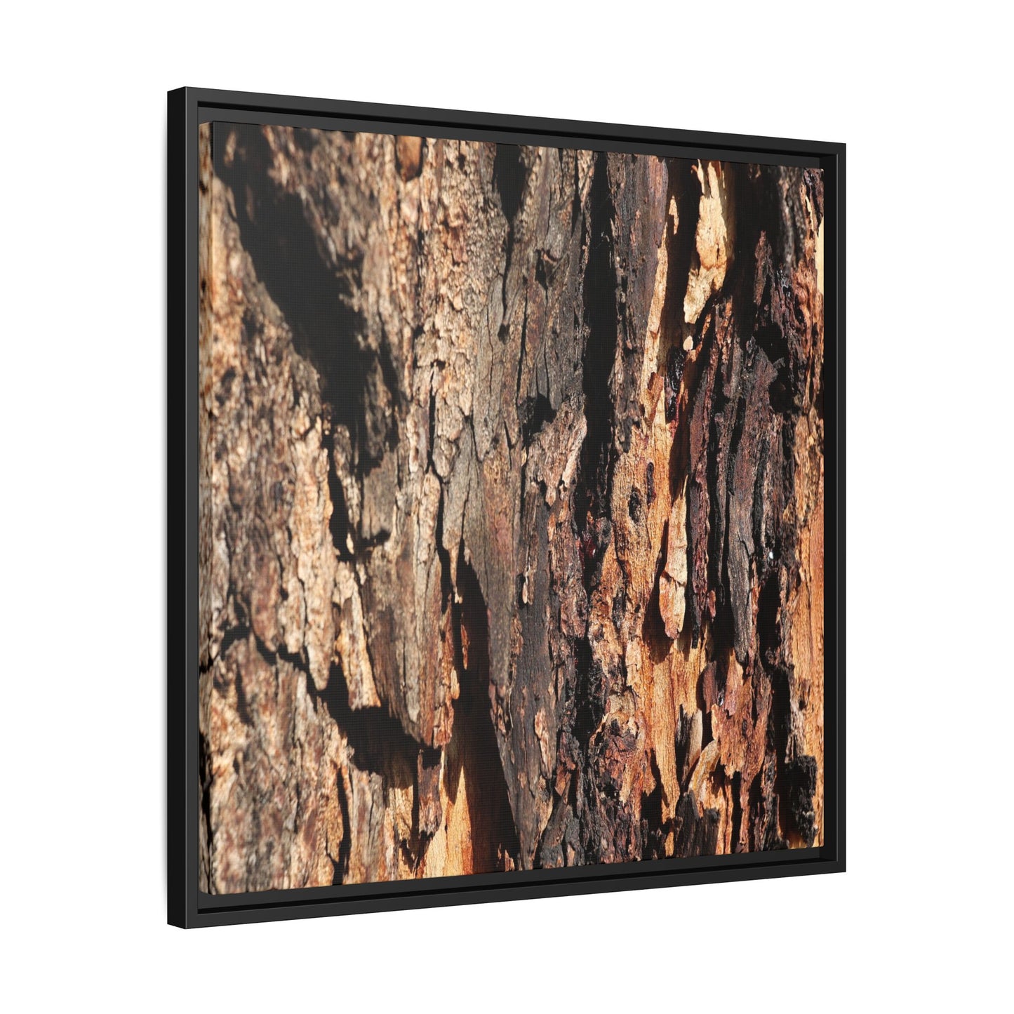 Rugged Beauty - Unique Stretched Canvas Wall Art - Art By Earth