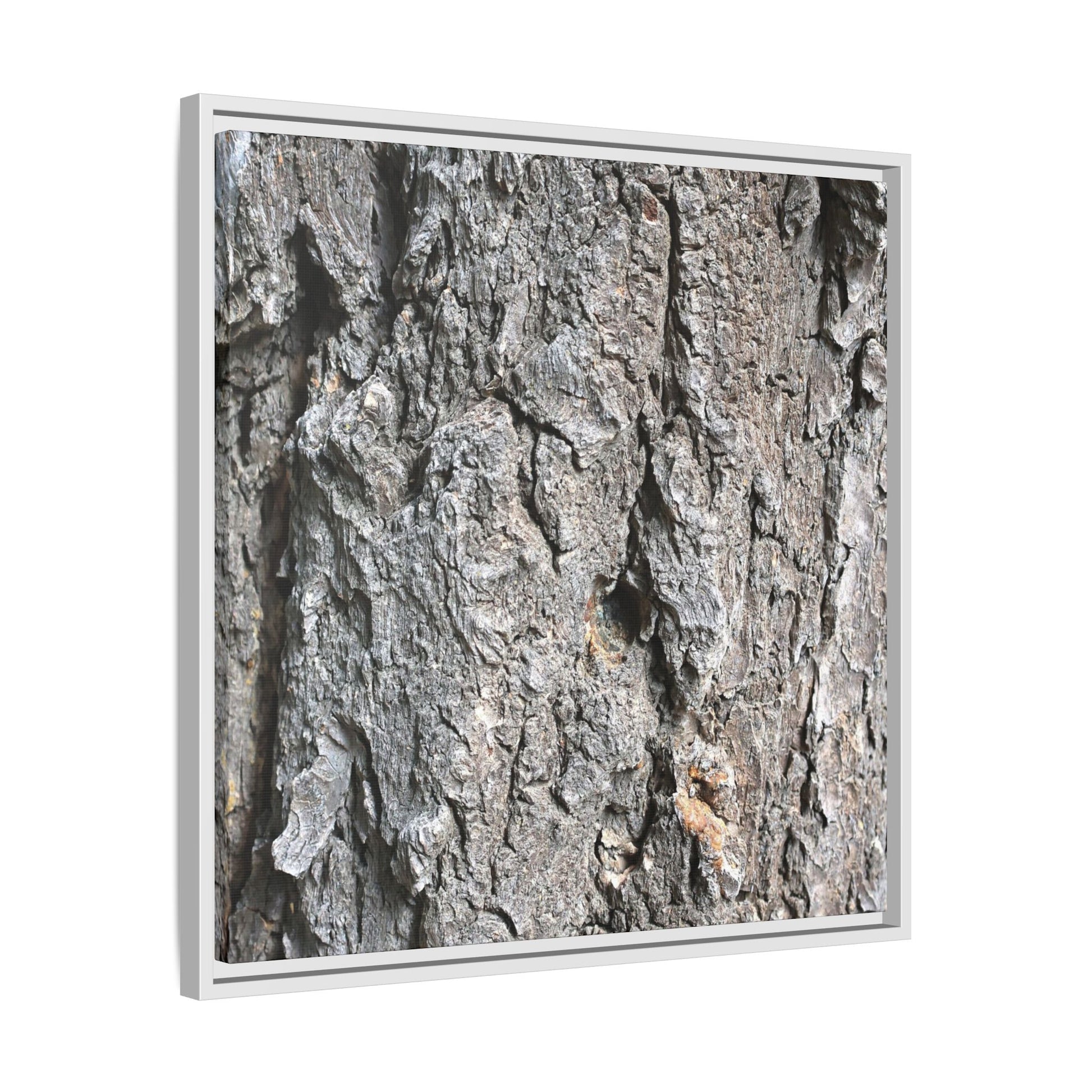 Crusty Exterior - Unique Stretched Canvas Wall Art - Art By Earth