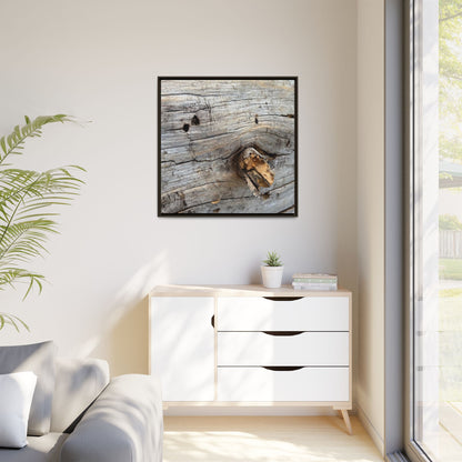 Weathered Wood Texture - Unique Stretched Canvas Wall Art - Art By Earth