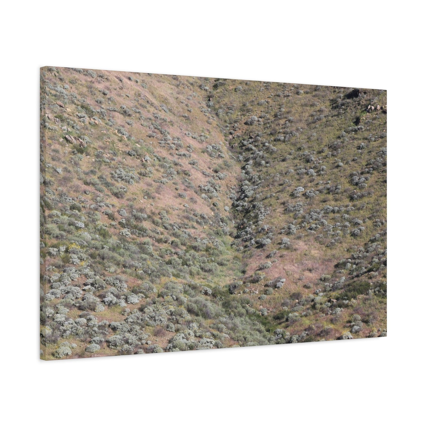 Desert Hillside - Unique Frameless Canvas Wall Art - Art By Earth