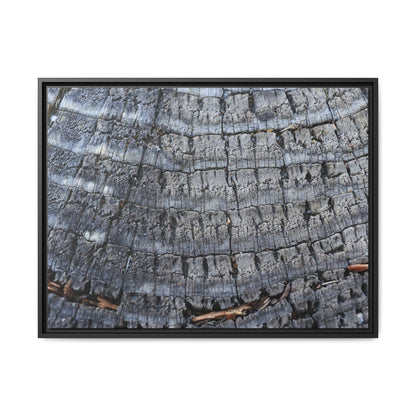 Charred Memories - Unique Stretched Canvas Wall Art - Art By Earth
