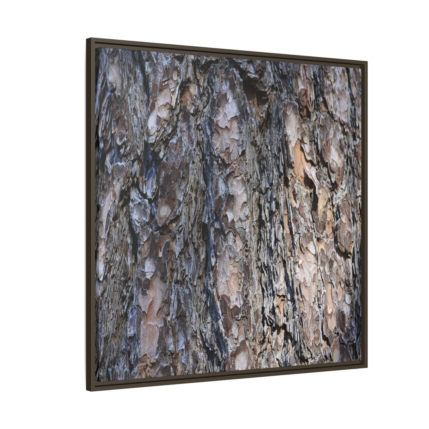 Weathered Patterns - Unique Stretched Canvas Wall Art - Art By Earth