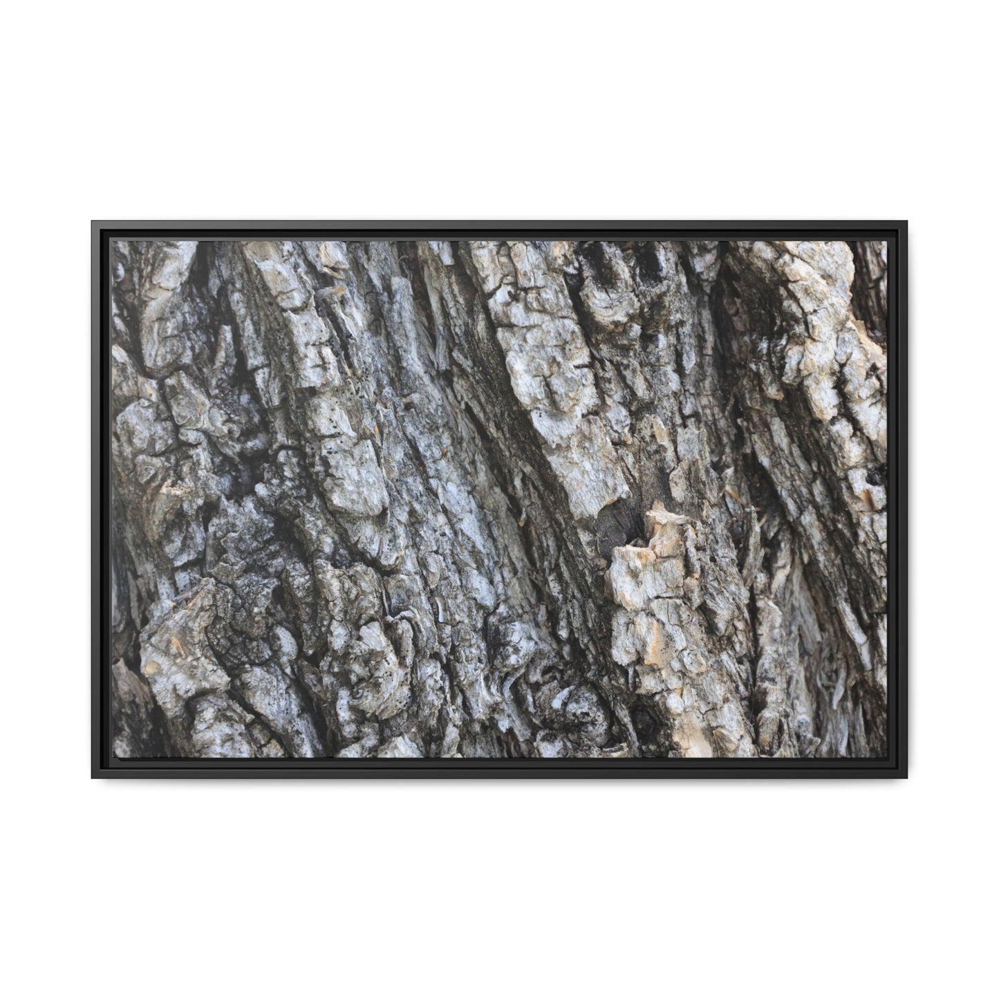 Twisted Textures - Unique Stretched Canvas Wall Art - Art By Earth