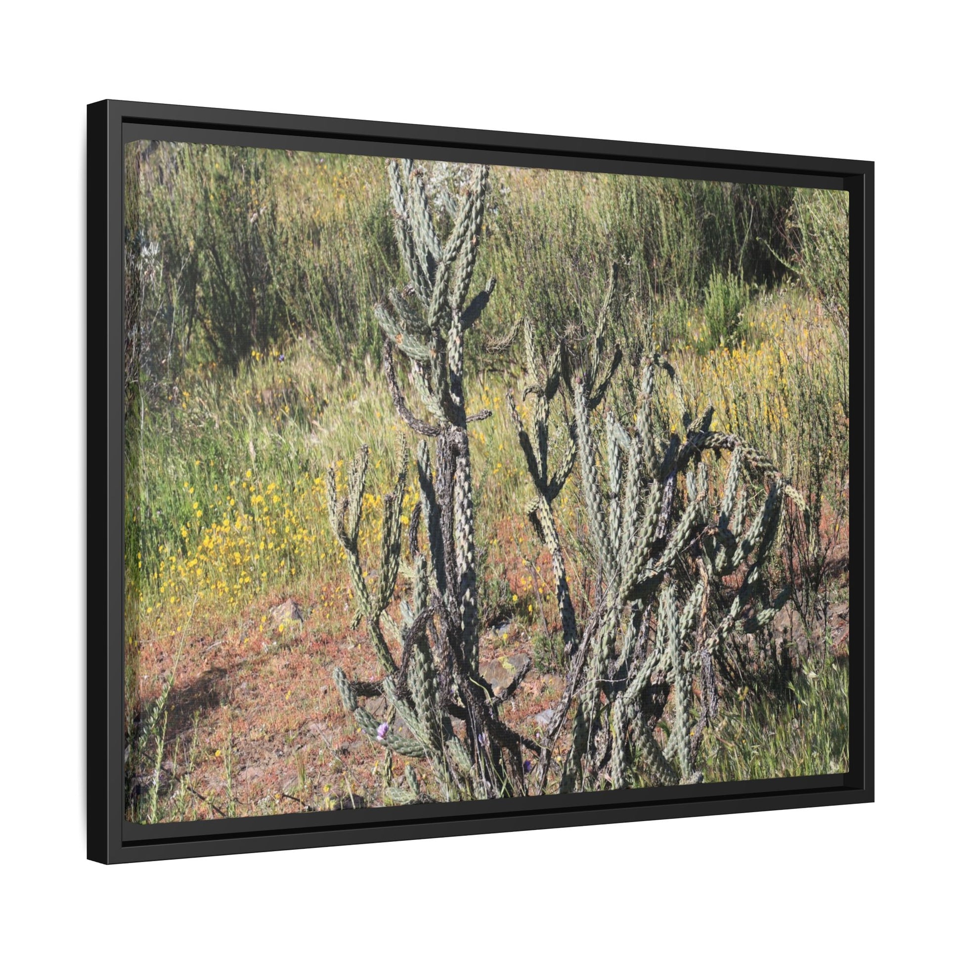 Wildflower Meadow - Unique Stretched Canvas Wall Art - Art By Earth