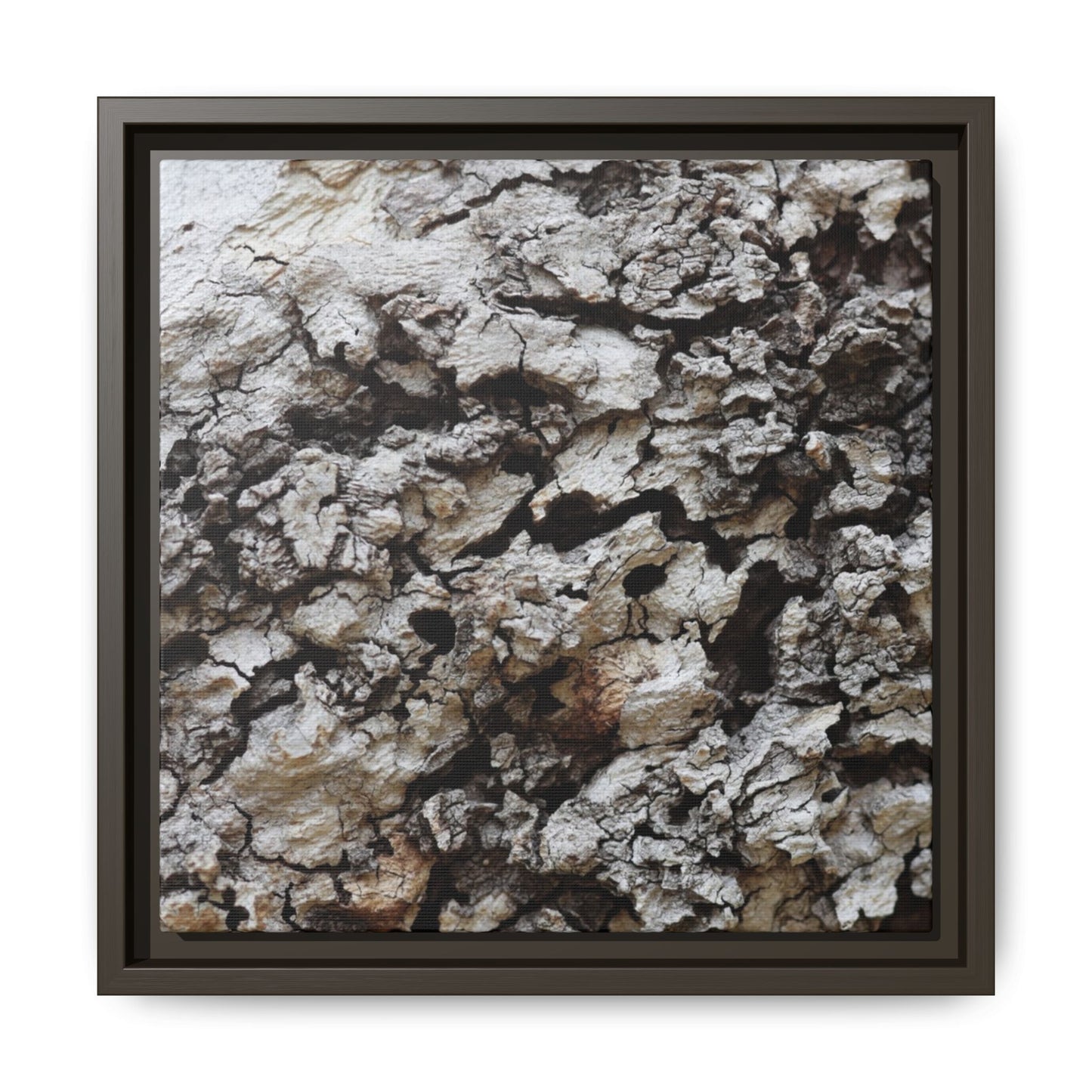 Cracked Terrain - Unique Stretched Canvas Wall Art - Art By Earth