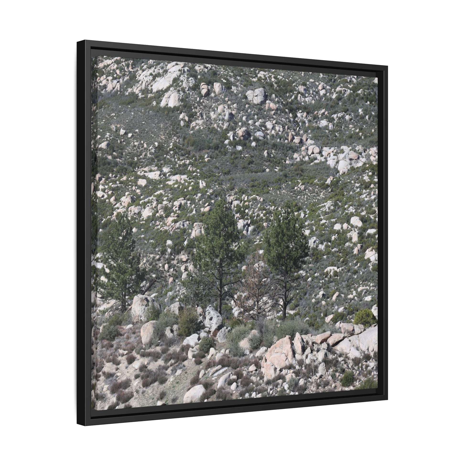 Rocky Hillside with Pine Trees - Unique Stretched Canvas Wall Art - Art By Earth