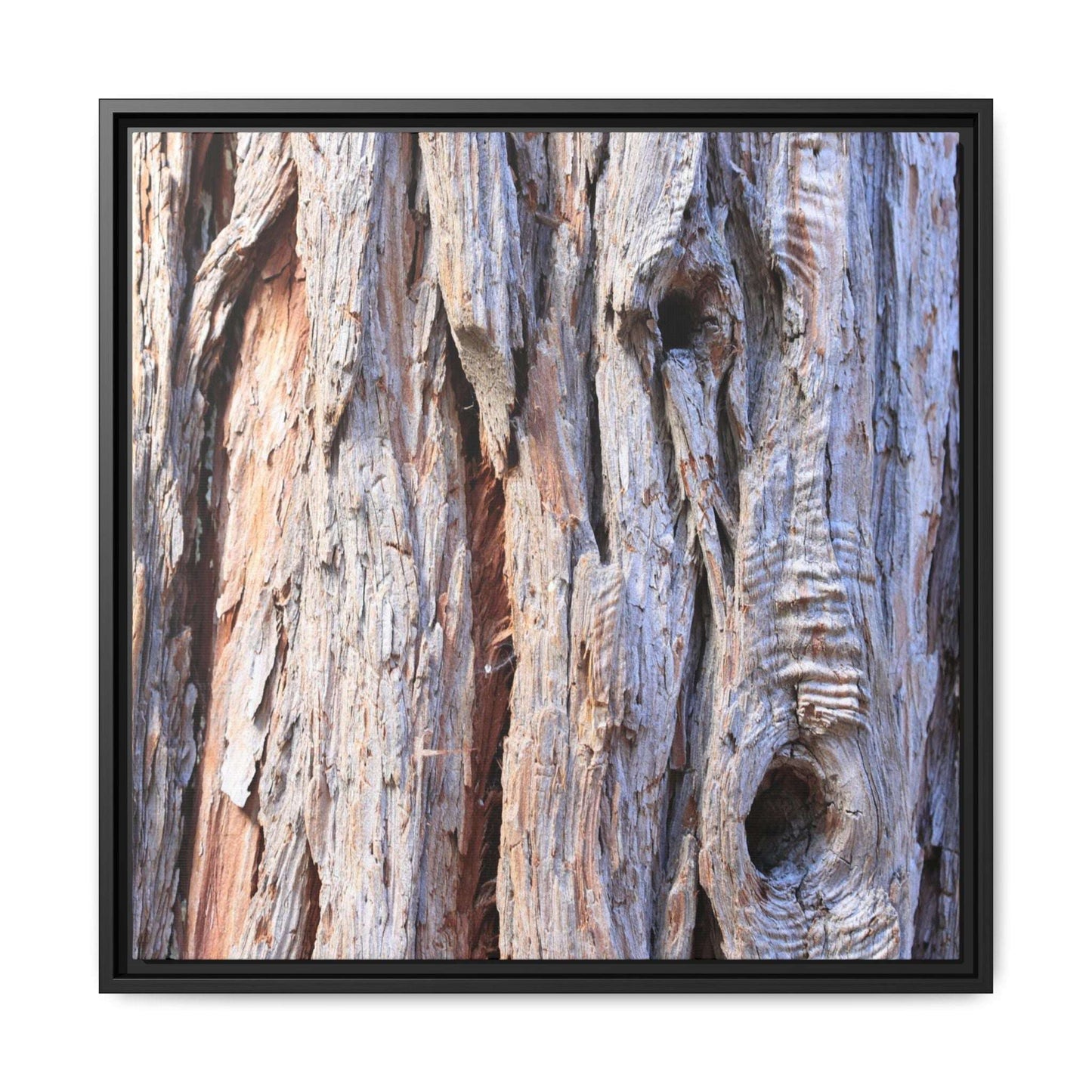 Nature's Grain - Unique Stretched Canvas Wall Art - Art By Earth