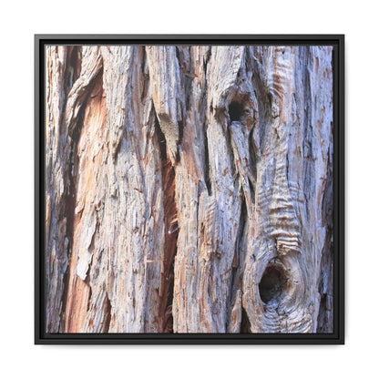 Nature's Grain - Unique Stretched Canvas Wall Art - Art By Earth