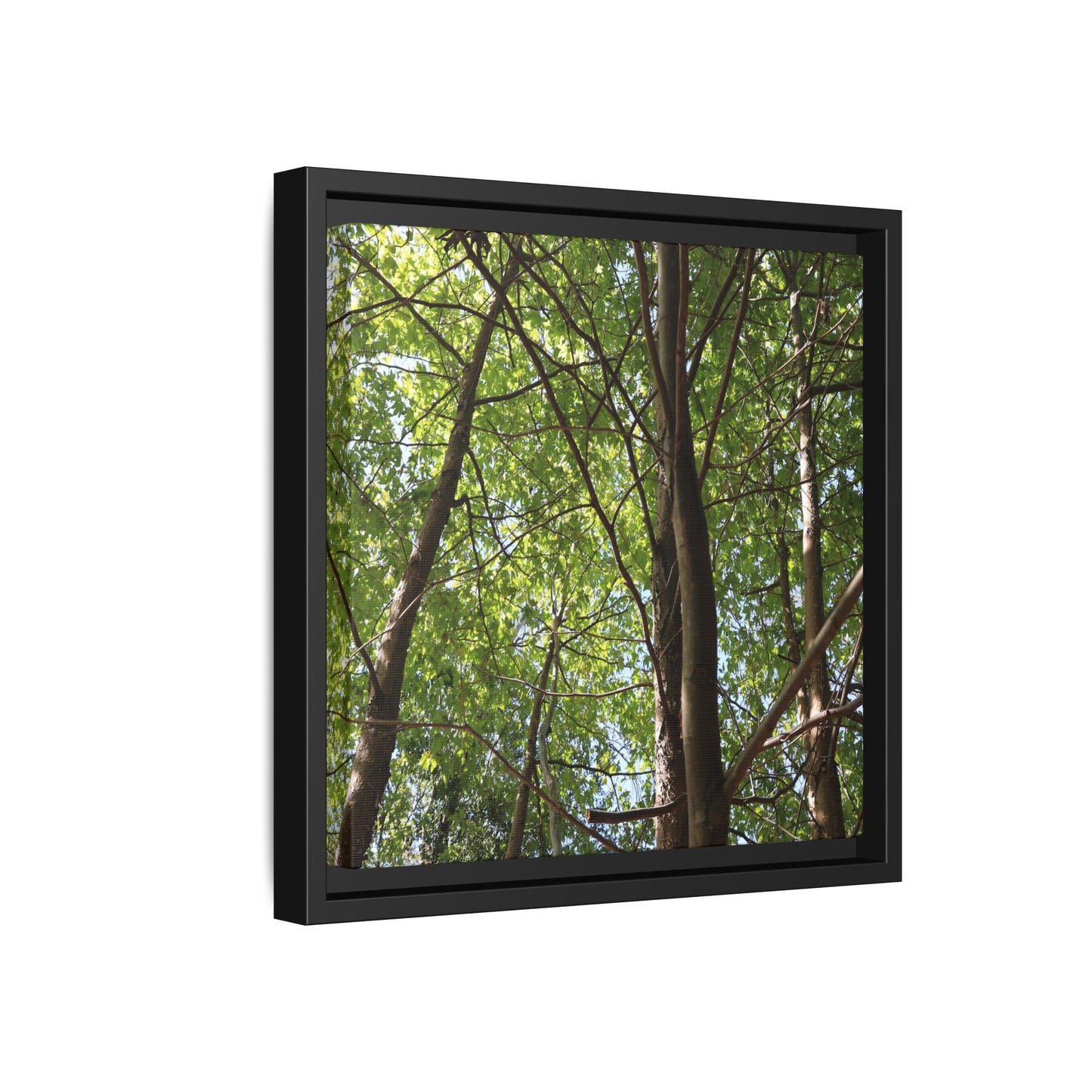 Forest Branches - Unique Stretched Canvas Wall Art