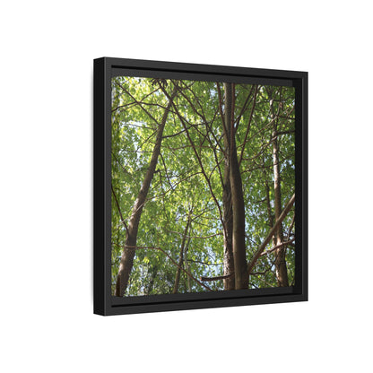 Forest Branches - Unique Stretched Canvas Wall Art