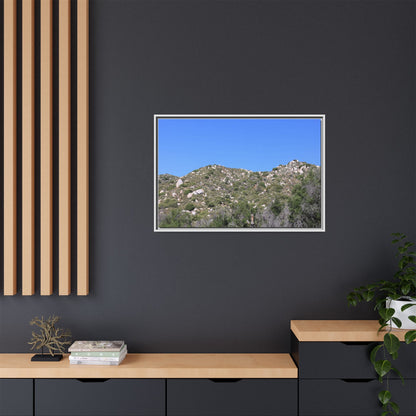 Sparse Vegetation - Unique Stretched Canvas Wall Art