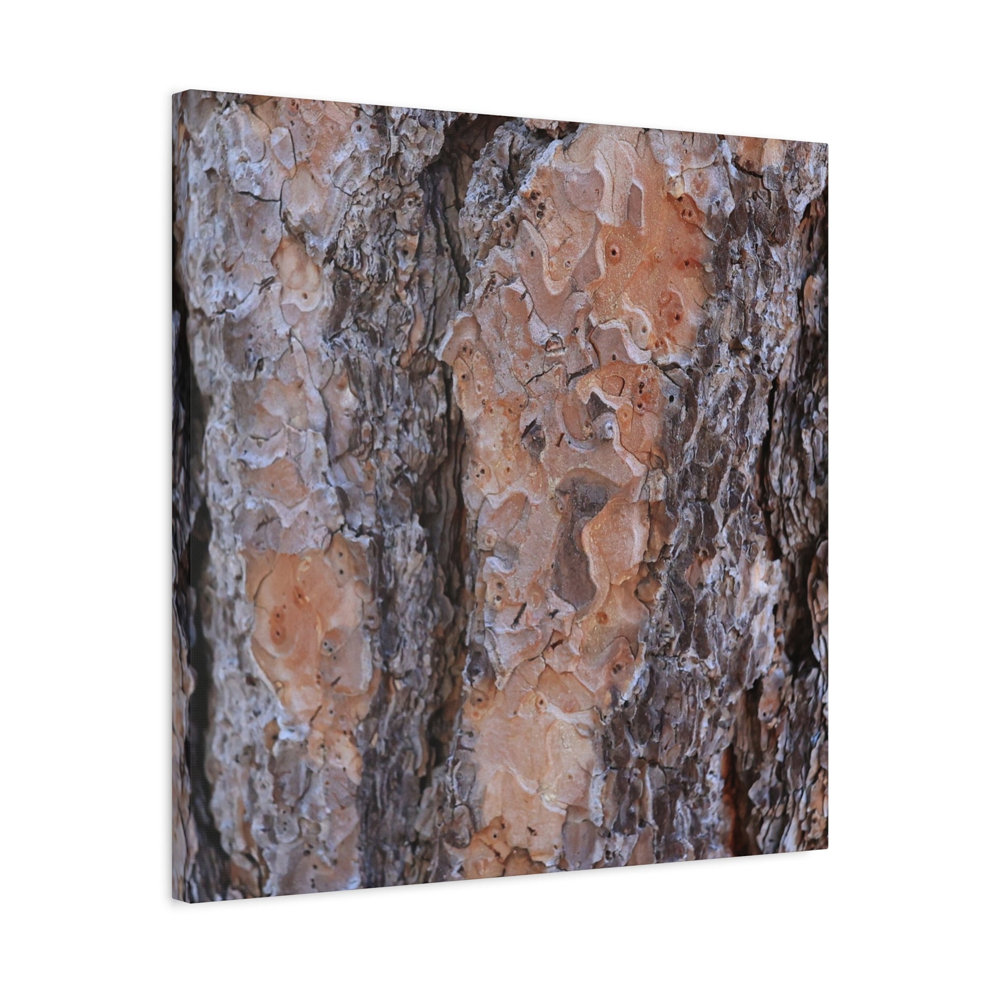 Terracotta Textures - Unique Frameless Canvas Wall Art - Art By Earth
